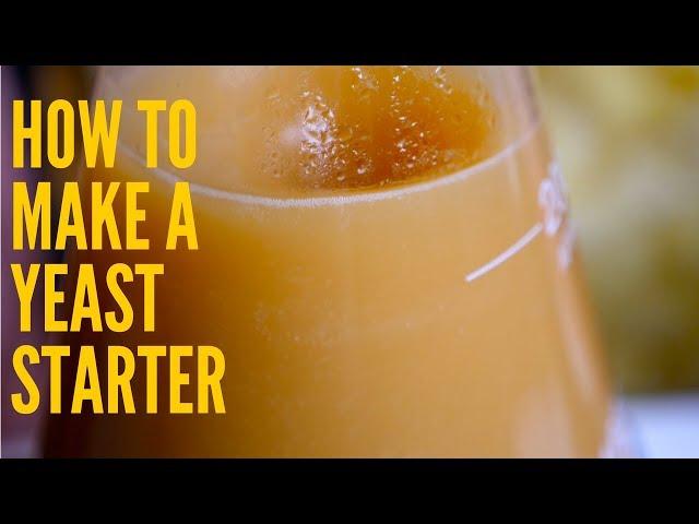 How To Make a Yeast Starter for Beer