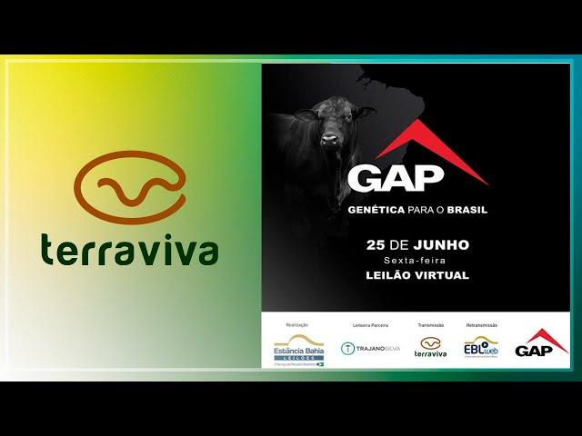 Leilão Virtual Produção GAP | 25/6 às 20h35