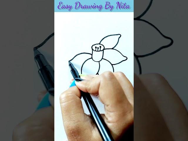 Daffodil Flower Drawing..