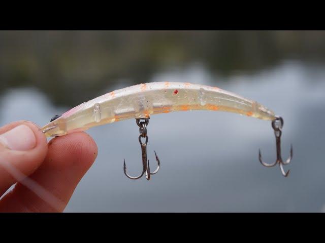 This Bent Lure Always Catches Fish!! (Topwater Fishing In Heavy Structure)