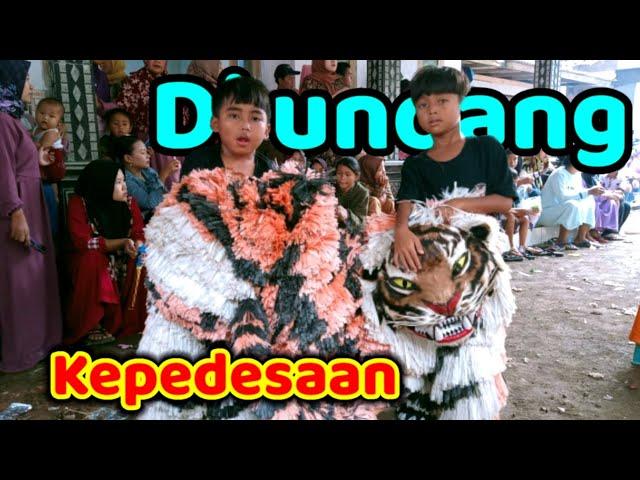 Can macanan Singo Raung cilik Di undang acara Khitan di Pedesaan