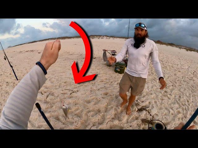 STEALING Fish On The BEACH!