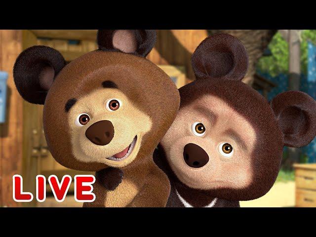  LIVE STREAM  Masha and the Bear ‍️ Friends forever  