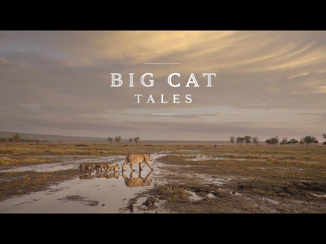 Big Cat Tales: Season 1 Trailer