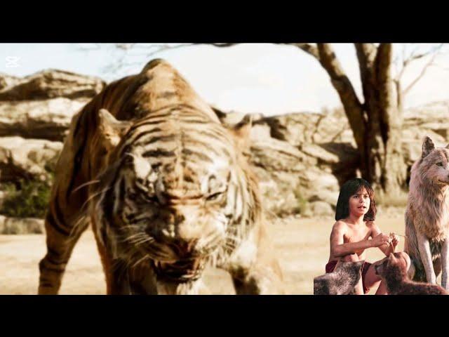 the jungle book 1967 in hindi| Mowgli jan ki Kahani| jungle book| Powerkids #Storylineonline5