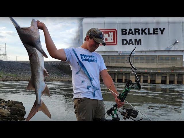 bowfishing the Barkley dam in Kentucky