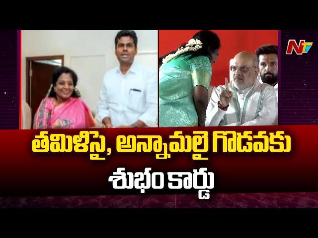 BJP's Annamalai meets Tamilisai Soundararajan, praises her amid rift rumours | Ntv