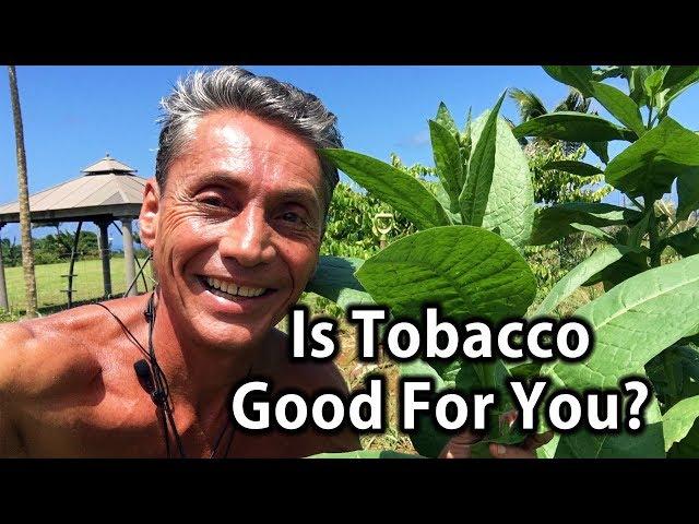 Is Tobacco Good For You? | Tip Of The Day | Dr. Robert Cassar