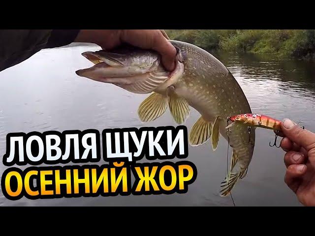 ЛОВЛЯ ЩУКИ В ОКТЯБРЕ! 110 Vision OneTen щуке не позубам. Осенний жор.Твичинг на реке.