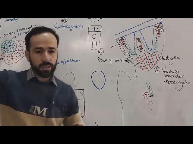 Le#13 | Electric Physiology of myocardium | Physiology of Heart | ECG Made easy