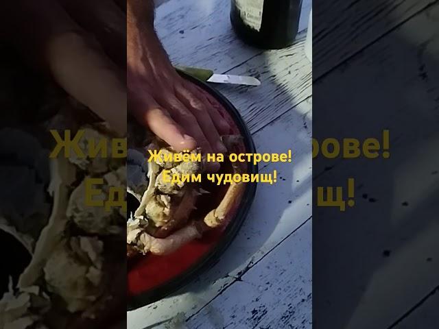 Мы его съели! 