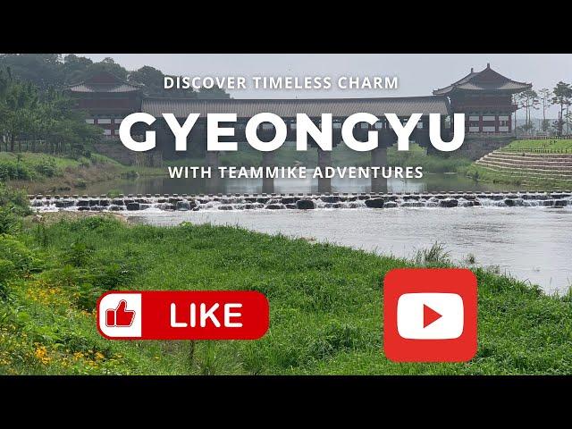 International Travel Destination: Gyeongju Unveiled: A Day Exploring South Korea's Ancient Capital