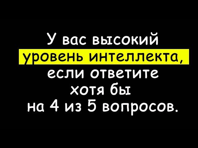 Пройдите, если хотите расшевелить свой мозг. Тесты на эрудицию и кругозор