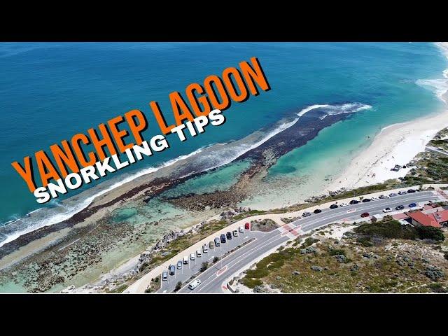 Yanchep Lagoon Snorkelling Tips