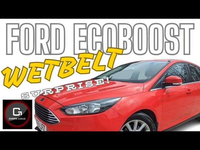 We got a BIG surprise when we saw this 10yr old Ford Ecoboosts Cambelt!