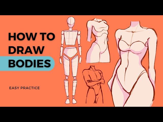 EASY Anatomy Approach for Digital Artists