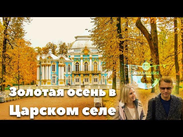 Екатерининский парк Царское село #Авиамания #Санкт-Петербург