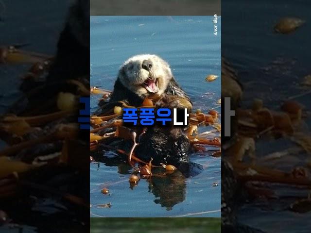 해달 : 손만잡고 잘께