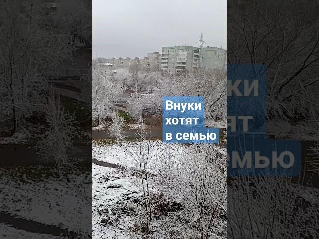 опека#Омск