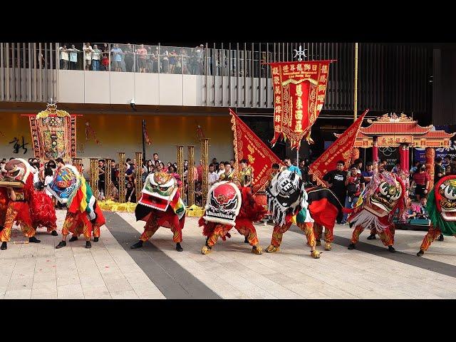 2024 World Dragon Lion Dance 2024年马来西亚世界龙狮节客家狮