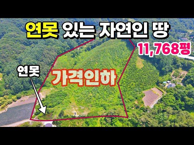 [NO. 599] 가격 완전 낮췄어요! 지금이 기회! 국유지 도로에접한 11,768평, 평당2만원대 가성비최고 제천토지매매