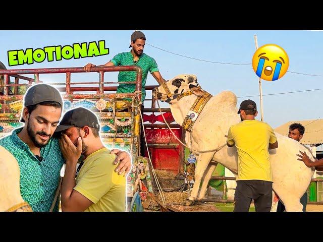 SURPRISING MY FRIEND WITH COW GIFT | GOT EMOTIONAL  | COW MANDI | MISHKAT KHAN