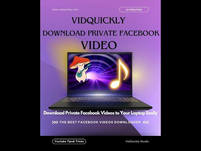 Downloading Private Facebook Videos: Why VidQuickly Is The Tool You Need