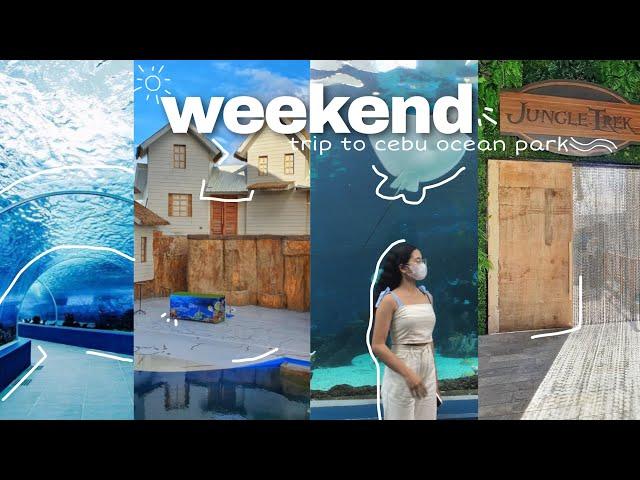 weekend vlog went to the largest ocean park in the philippines | julley nicole