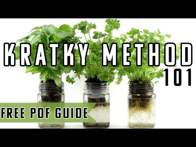 Kratky Method Hydroponics Explained