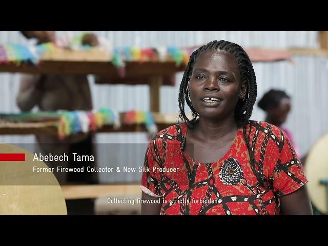 A silk thread of hope: Changing women's lives in Ethiopia through green jobs
