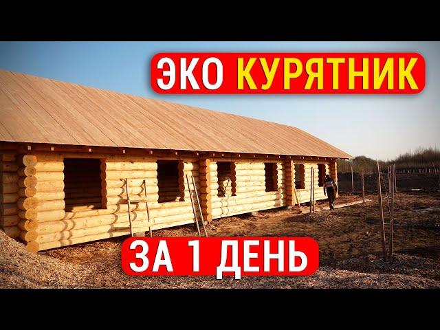 Лучший в мире курятник за 1 день! ЭКО Курятник для получения этических БИО ЯИЦ и долгой жизни КУР!