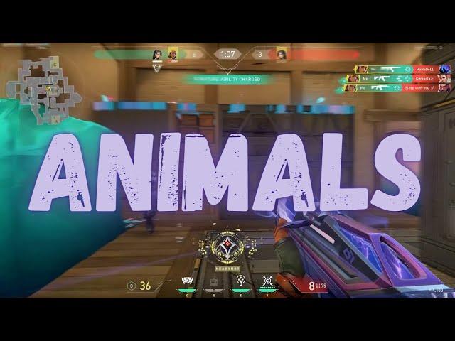 Animals  (Valorant Montage)