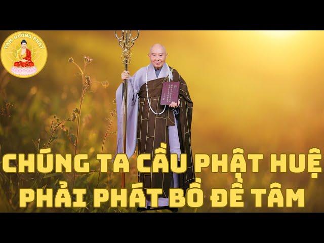 Chúng ta cầu Phật huệ thì nhất định phải phát Bồ Đề Tâm | Hòa Thượng Tịnh Không | Tâm Hướng Phật