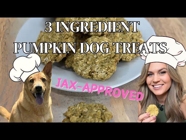 3 Ingredient Pumpkin Dog Treats