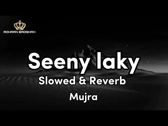 SEENY LAKY SLOWED & REVERB MUJRA MASTI