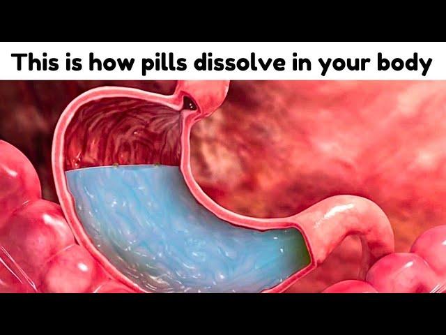 This is how pills  dissolve in your Stomach ! Animated Short Video