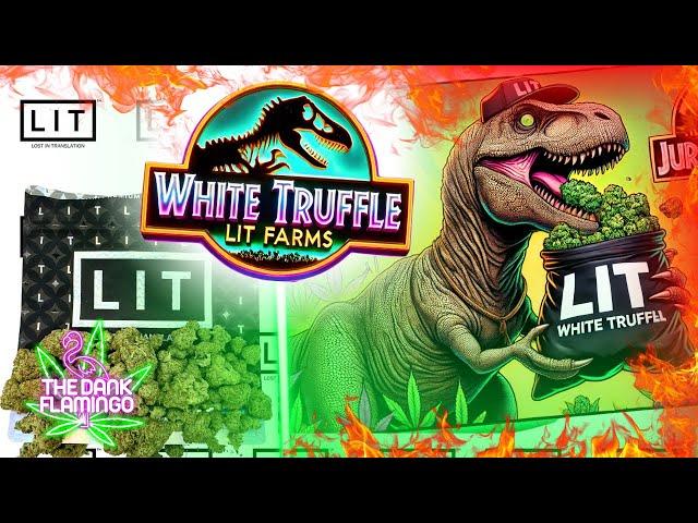 Trying White Truffle THCa Budget Zip from Lit Farms! The Dank Flamingo Cannabis Review!!