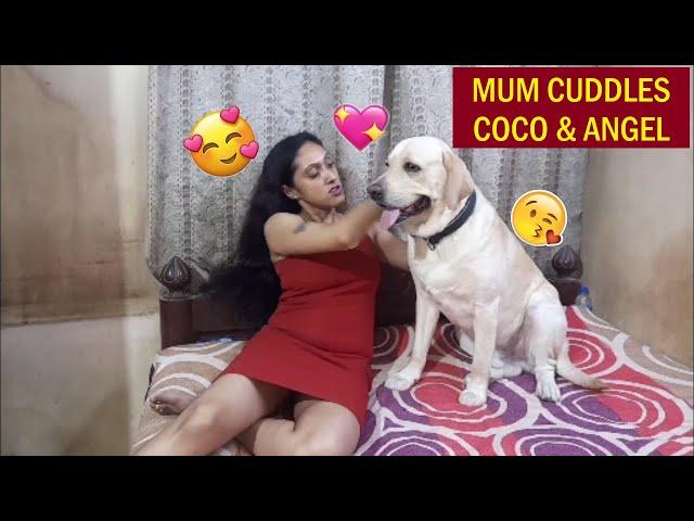 COCO & ANGEL NEEDS LOVE | MUM GIVES LOTS OF CUDDLES | WATCH THE LOVABLE VIDEO TILL THE END | ‍