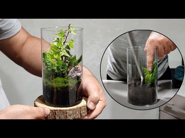 تراریوم|The idea of ​​building a beautiful but simple terrarium / how to build a terrarium at home