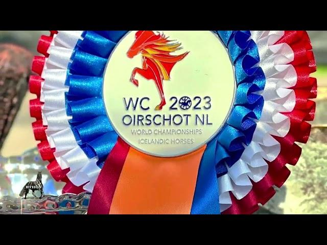 WC Iclandic Horses 2023 in The Netherlands