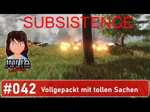 Vollgepackt mit tollen Sachen - Subsistence #deutsch #042