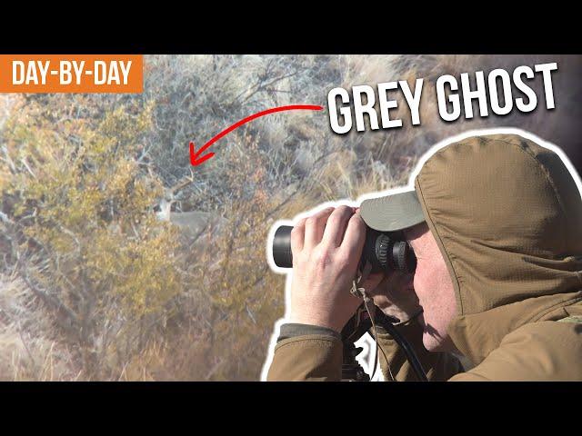 SO MANY DEER! | 2023 Coues Deer Hunt Day-by-Day (Ep.1)
