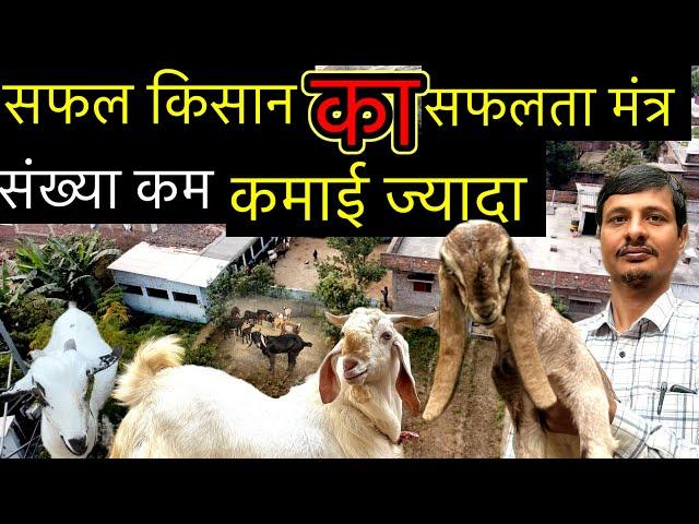 अच्छी कमाई केवल 20 बकरियों से /Bakri Palan/Goat Farming /Goat farming india