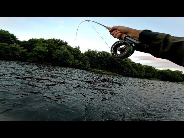 Fly Fishing For Wild River Brown Trout | Scotland