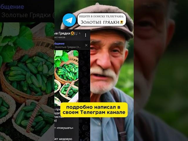 СОРНЯК засохнет через пару ЧАСОВ! Даже трава между плиткой! #огород #сорняки #дача