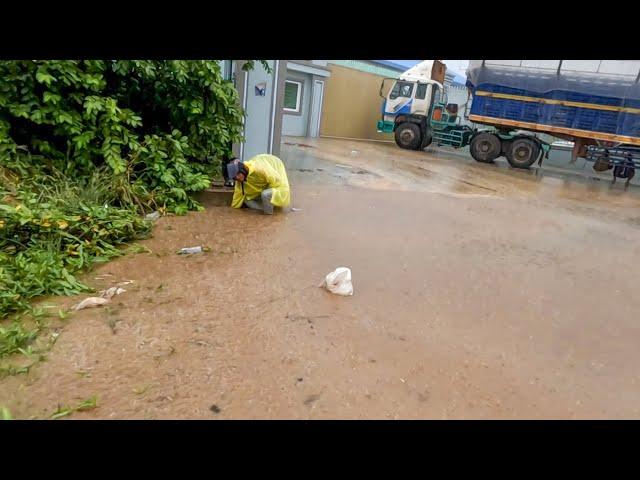 Today A Heavy Rain! Blocked Drain and Removing the Rubbish