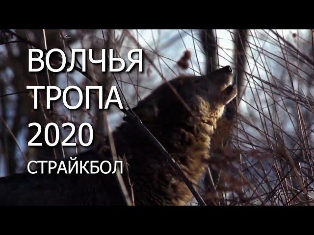 ВОЛЧЬЯ ТРОПА 2020