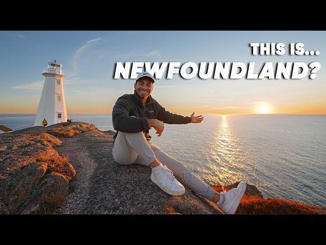 DAY 1 in NEWFOUNDLAND - My First Impressions