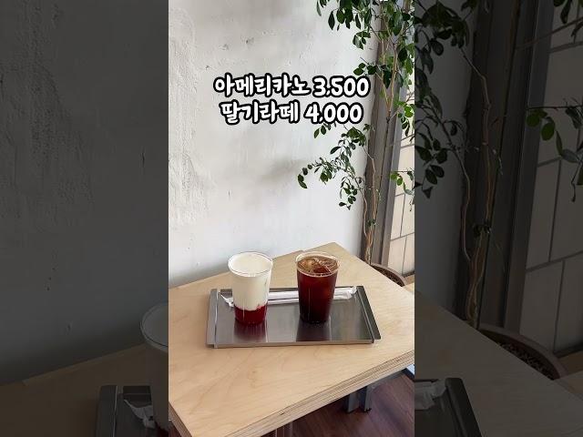 동대구역 힐링하기 좋은 애견동반 카페  #워크커피