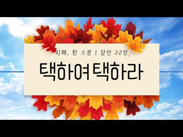 지혜 한 스푼 | 잠언 22장 | 택하여 택하라